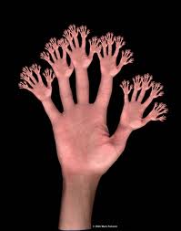 fractal hand
