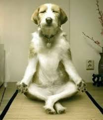 From mindless mess to mindfulness:   Meditation practice in recovery