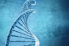 Is addiction heritable? Separating fact from fiction