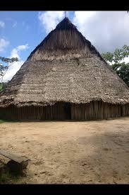 My ayahuasca trip: Shit happens