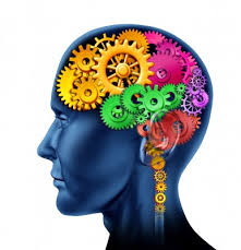 Recognizing the brain’s role in addiction