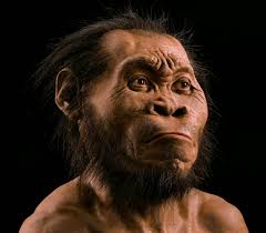 Evolution, suffering, and addiction — nobody said it was easy