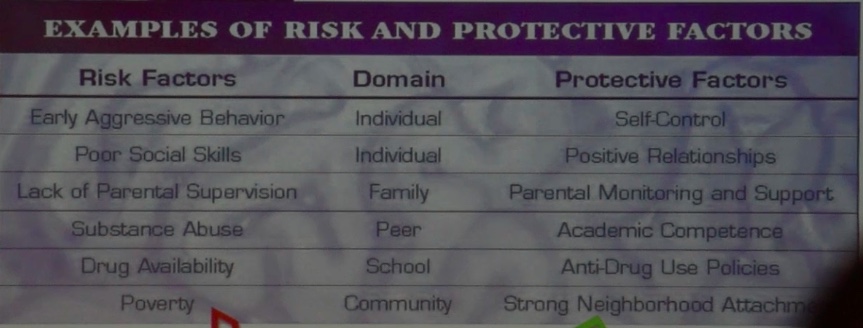 risk&protective