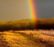 The opiate rainbow and the pot of gold